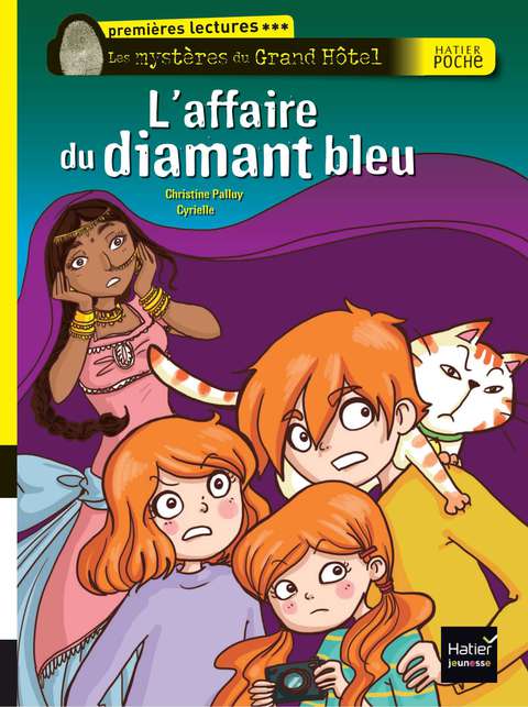 Cover image for book L'affaire du diamant bleu