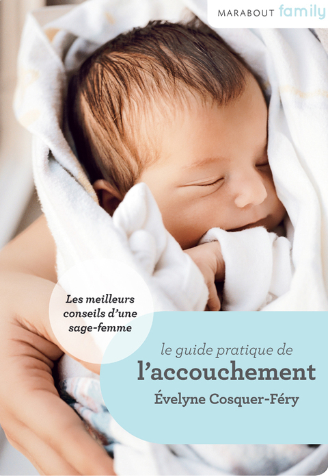 Cover image for book Le Guide de l'accouchement : conseils de sage-femme