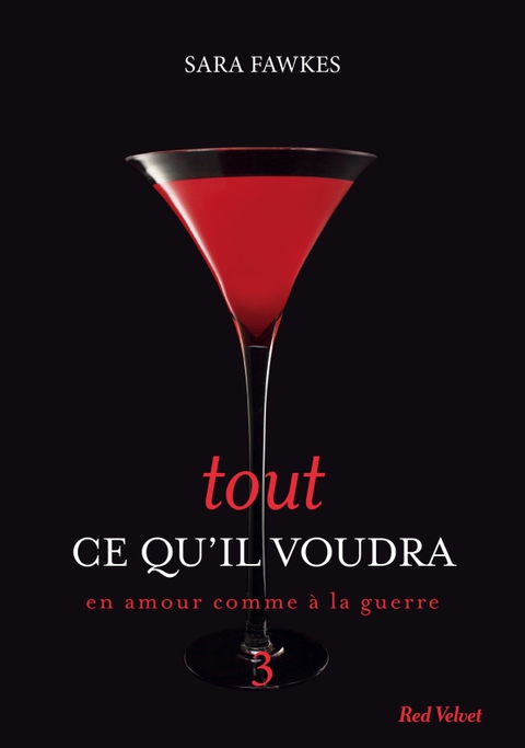 Cover image for book Tout ce qu'il voudra 3