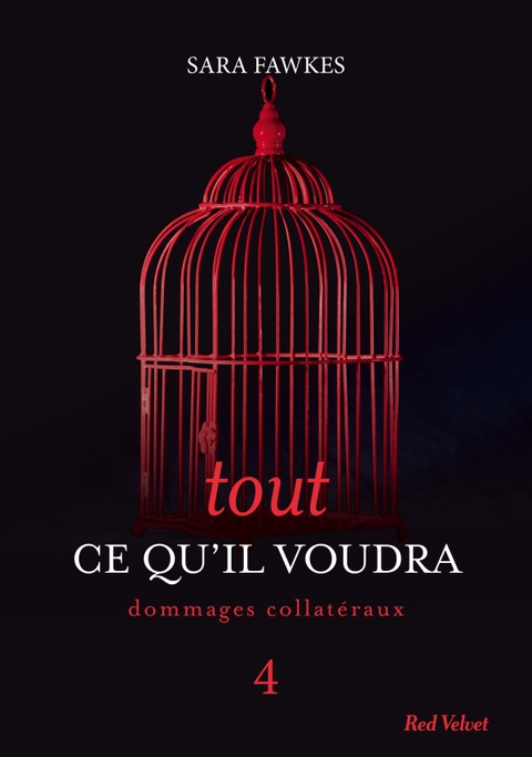 Cover image for book Tout ce qu'il voudra 4