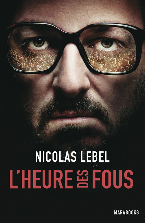 Cover image for book L'heure des fous