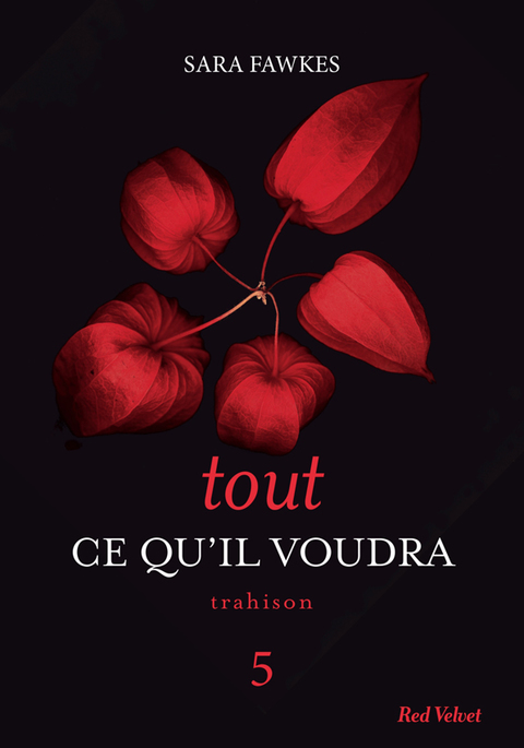Cover image for book Tout ce qu'il voudra 5