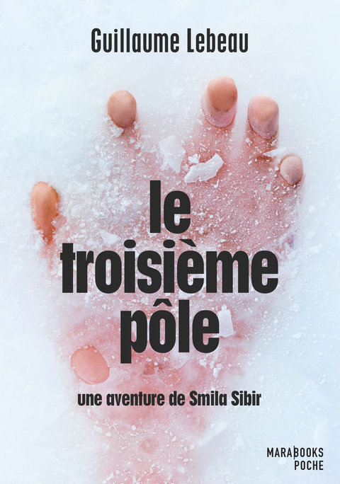 Cover image for book Le troisième pôle - Une aventure de Smila Sibir