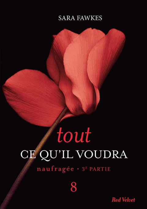 Cover image for book Tout ce qu'il voudra - Naufragée 3ème partie 8