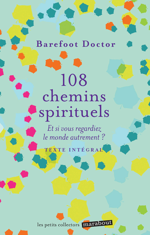 Cover image for book 108 chemins spirituels