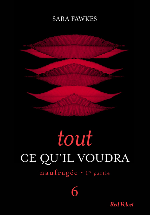 Cover image for book Tout ce qu'il voudra 6