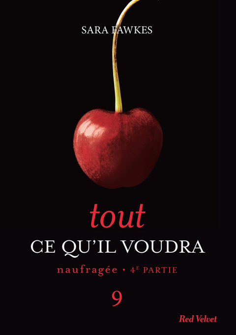 Cover image for book Tout ce qu'il voudra - Naufragée 4ème partie 9