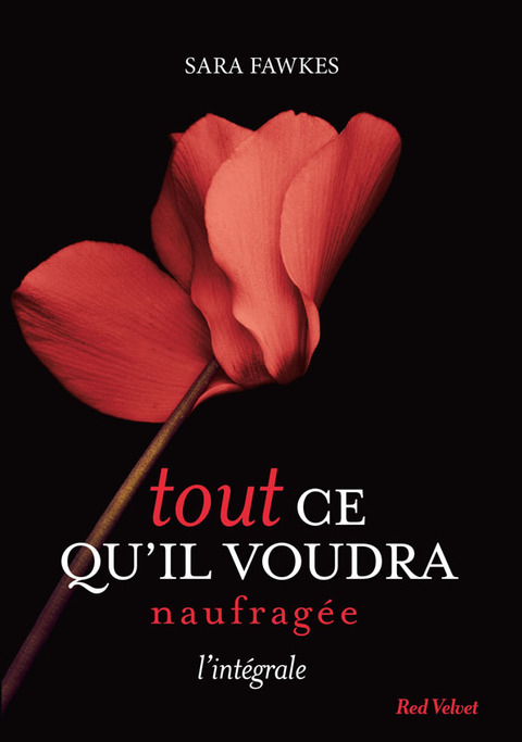 Cover image for book Tout ce qu'il voudra - Naufragée - L'intégrale