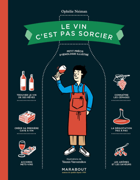 Cover image for book Le vin c'est pas sorcier
