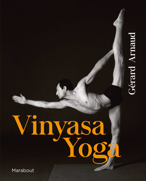 Cover image for book Vinyasa yoga