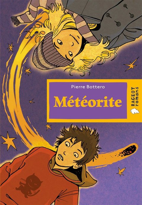 Cover image for book Météorite