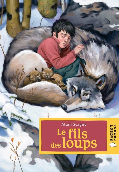 Cover image for book Le fils des loups