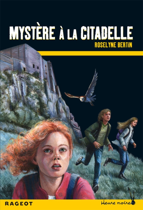 Cover image for book Mystère à la citadelle