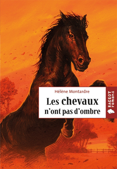 Cover image for book Les chevaux n'ont pas d'ombre