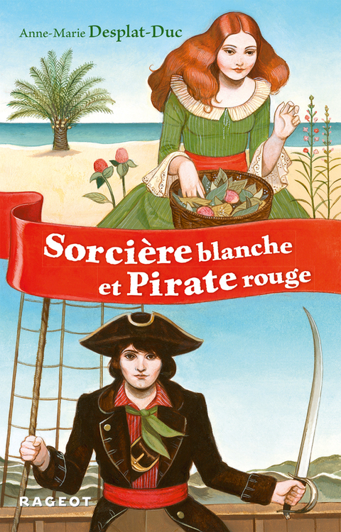 Cover image for book Pirate rouge