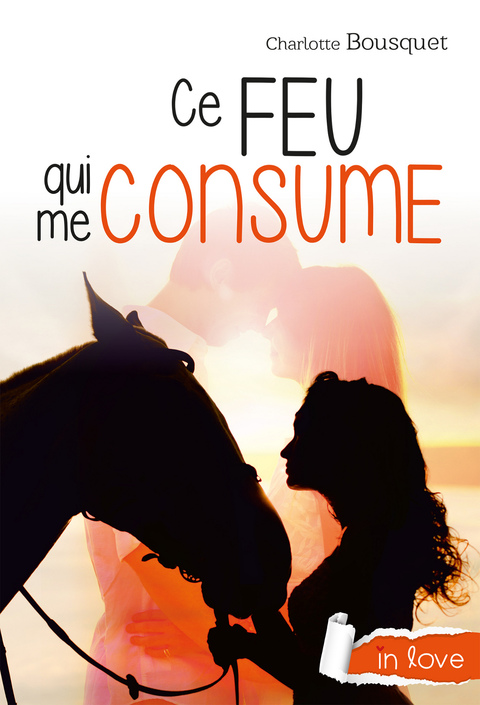 Cover image for book Ce feu qui me consume