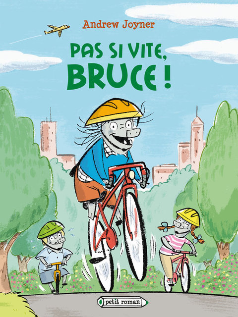 Cover image for book Pas si vite, Bruce !