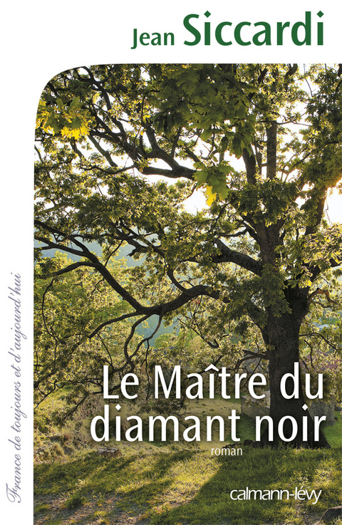 Cover image for book Le Maître du diamant noir