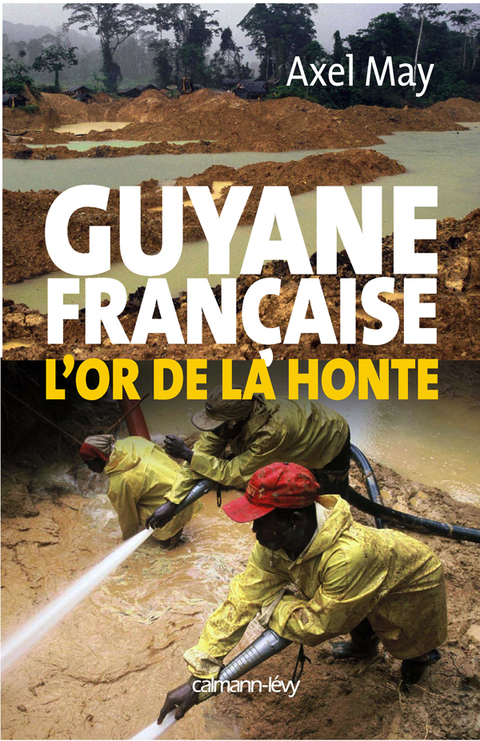 Cover image for book Guyane française l'or de la honte