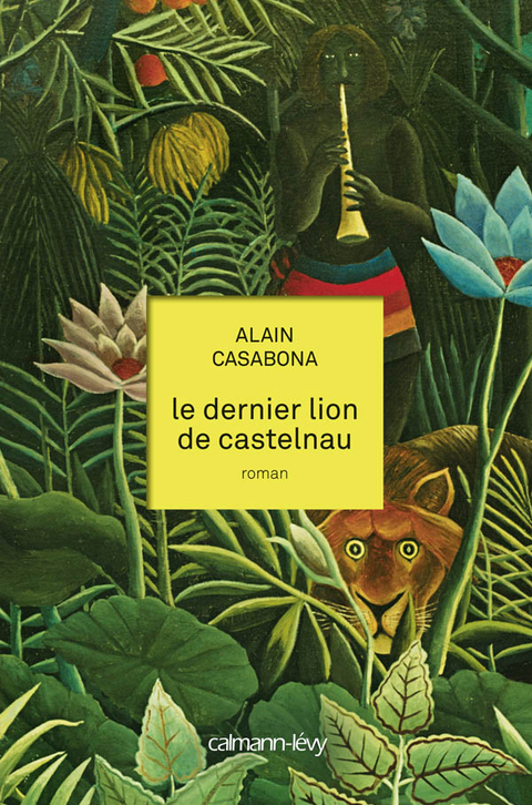 Cover image for book Le Dernier lion de Castelnau