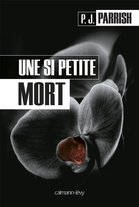 Cover image for book Une si petite mort