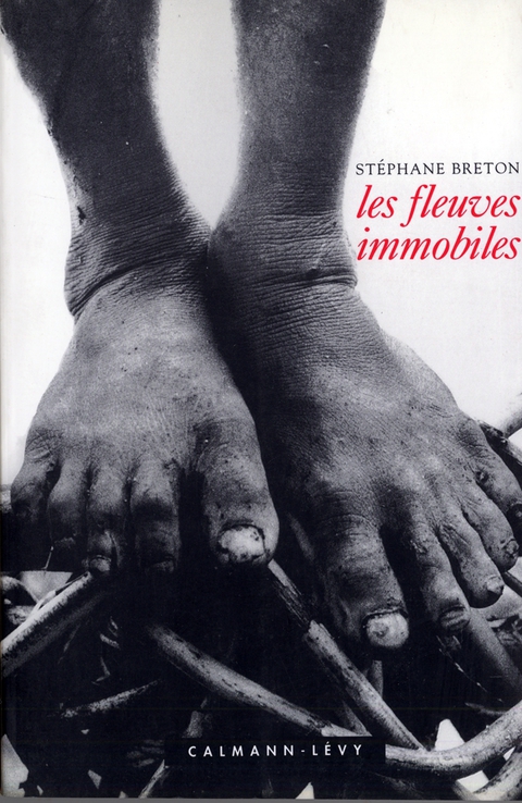 Cover image for book Les Fleuves immobiles