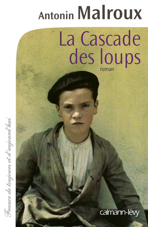 Cover image for book La Cascade des loups