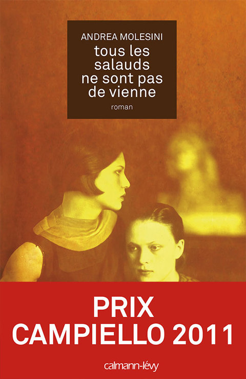 Cover image for book Tous les salauds ne sont pas de Vienne