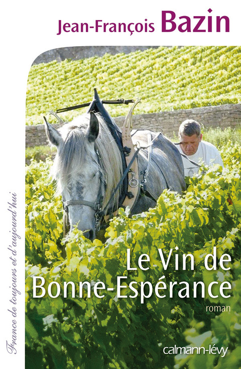 Cover image for book Le Vin de bonne espérance