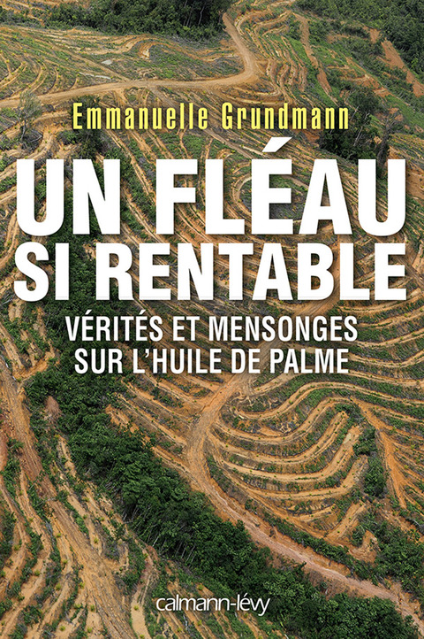 Cover image for book Un fléau si rentable