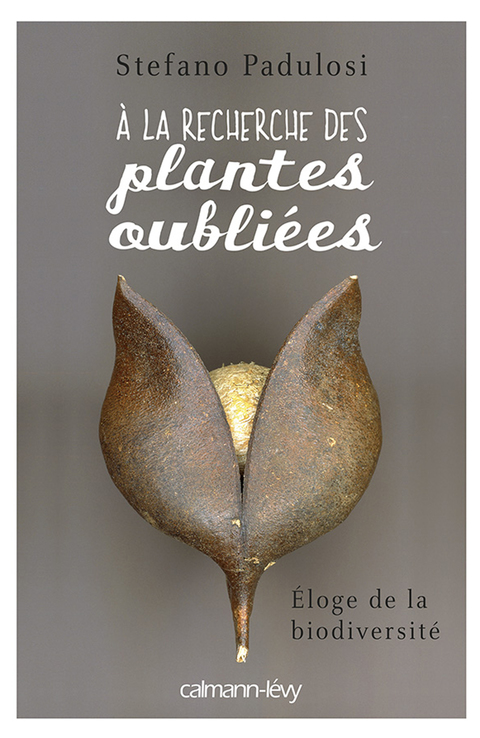 Cover image for book A la recherche des plantes oubliées
