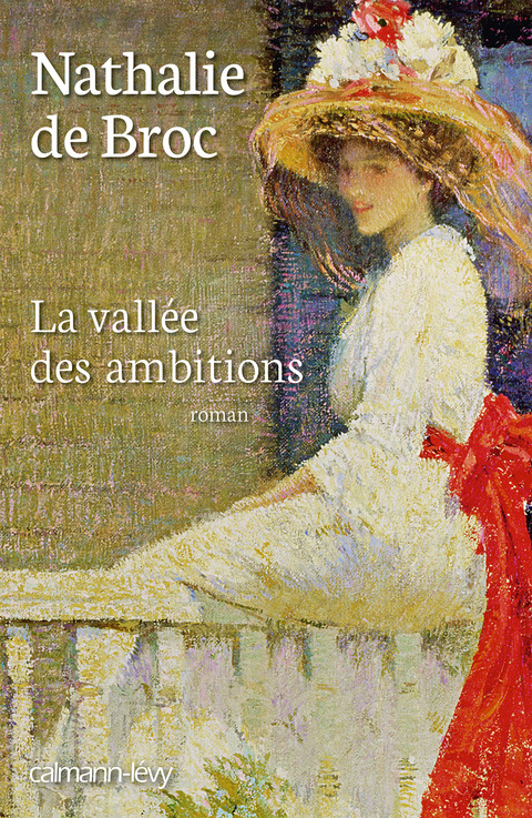 Cover image for book La Vallée des ambitions