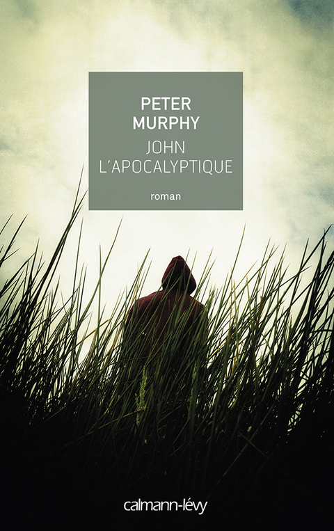 Cover image for book John l'apocalyptique