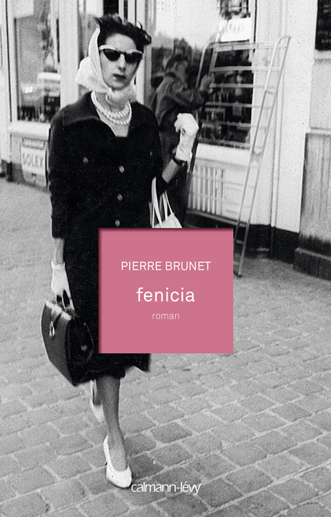 Cover image for book Fenicia