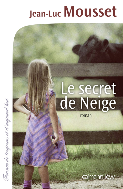 Cover image for book Le Secret de Neige