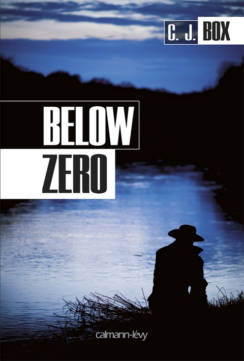 Cover image for book Below zero