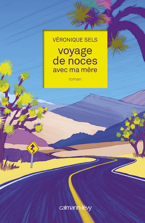 Cover image for book Voyage de noces avec ma mère