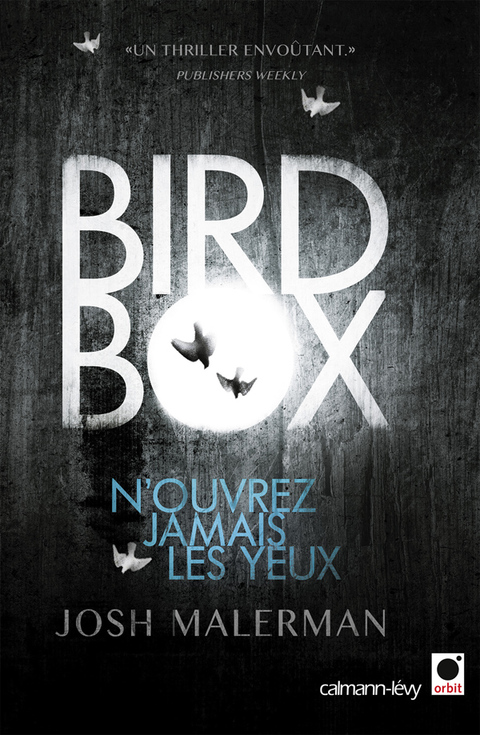 Cover image for book Bird box