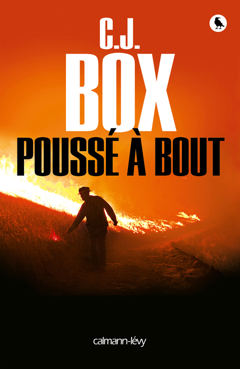 Cover image for book Poussé à bout