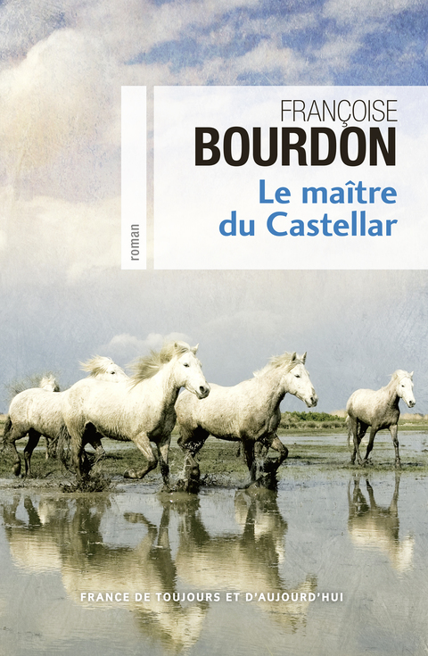 Cover image for book Le Maître du Castellar