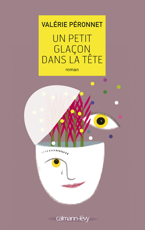 Cover image for book Un petit glaçon dans la tête