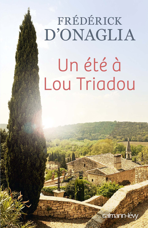 Cover image for book Un été à Lou Triadou