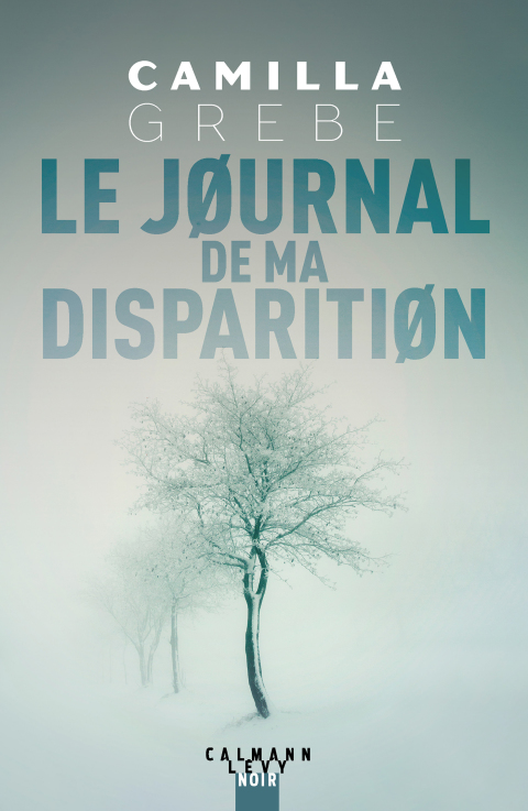 Cover image for book Le Journal de ma disparition
