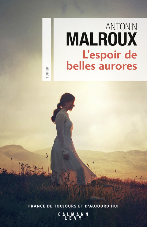 Cover image for book L'Espoir de belles aurores
