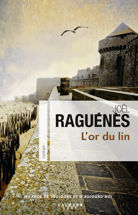Cover image for book L'Or du lin