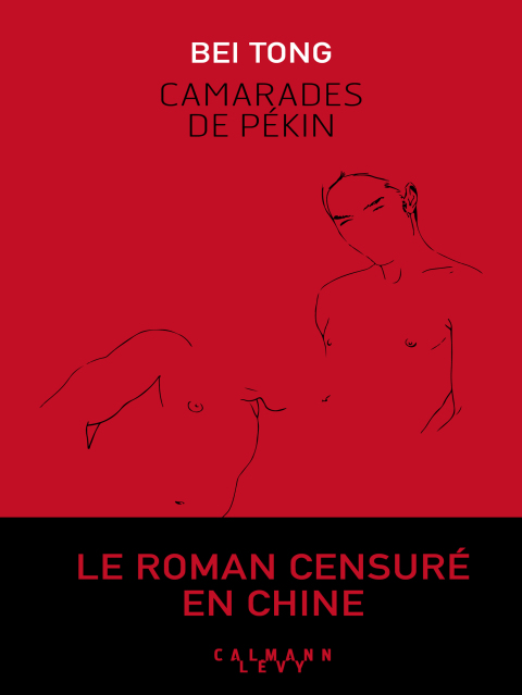 Cover image for book Camarades de Pekin