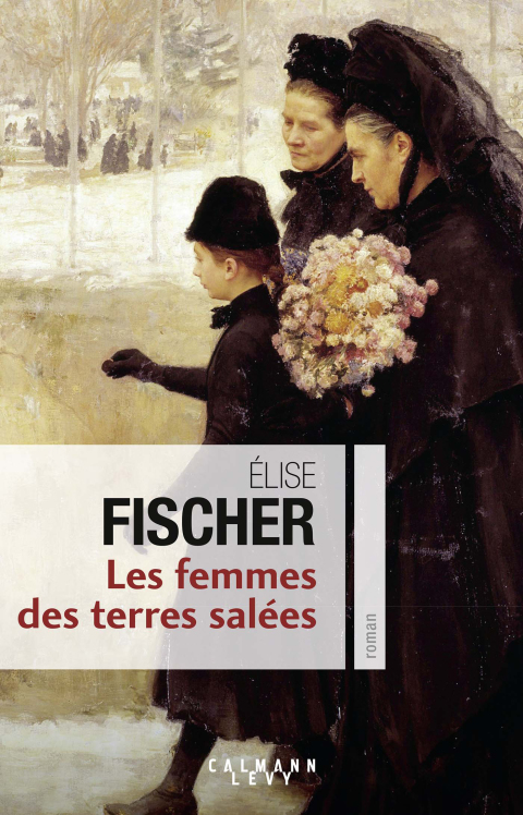 Cover image for book Les Femmes des terres salées