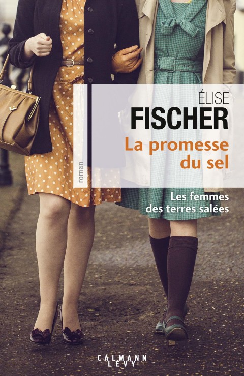 Cover image for book La Promesse du sel (Les Femme des terres salées T.2)