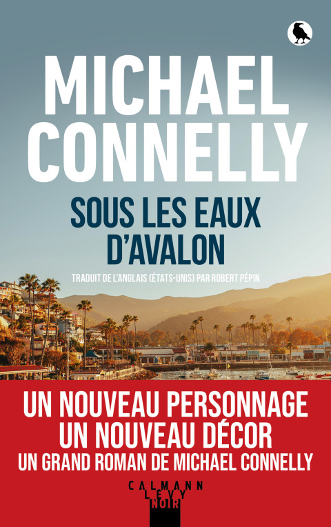 Cover image for book Sous les eaux d'Avalon