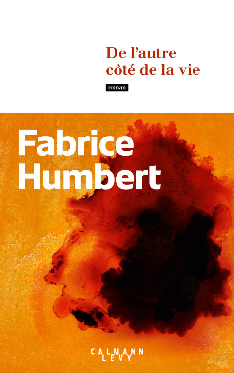 Cover image for book De l'autre côté de la vie